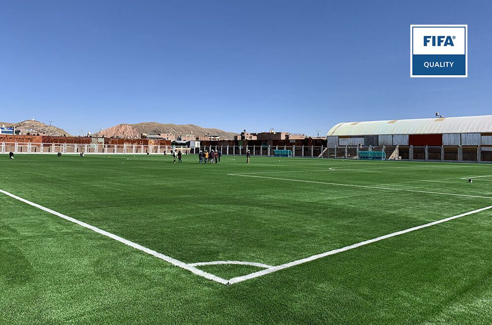 Cỏ Trải Sân Bóng 2 carpet_tile_spacef 3