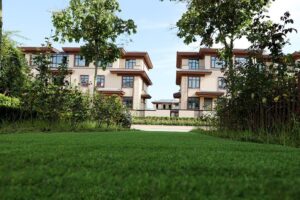 co dan tu tuft allspace