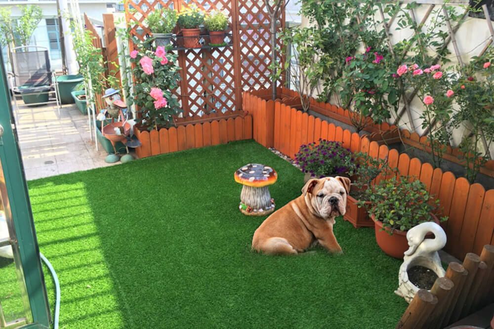 Cỏ Lót Sàn Thú Cưng 3 co-thu-cung-allspace