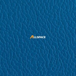 tham_the_thao_van_da_lon_allspace blue