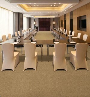 tham_trai_san_cuon_AK10